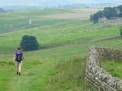Hadrians Wall vlakbij Housesteads