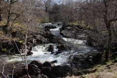 Wandelen over de west-highland-way: River Falloch